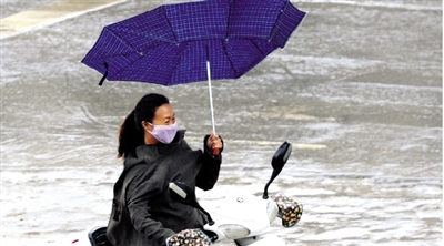 昨日下午，陇海路上，雨中风大，一位女士的伞被吹翻了。