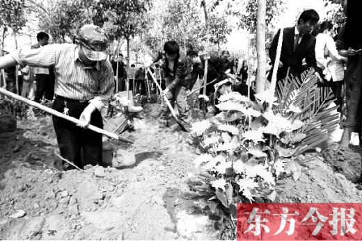 郑州集体树葬活动开展7年 已有636个家庭参与