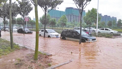 昨日，信阳突降暴雨，路面积水已淹没轮胎。首席记者 何正权 通讯员 杨小燕 摄影