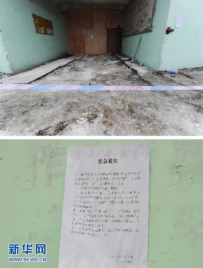 上海6日起暂停活禽交易 关闭所有活禽交易市场