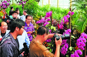 9月30日，众多游客在绿博园观看郑州市第三届蝴蝶兰展。