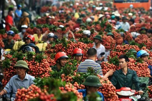 越南工商部号召全民吃荔枝 因出口中国遇阻