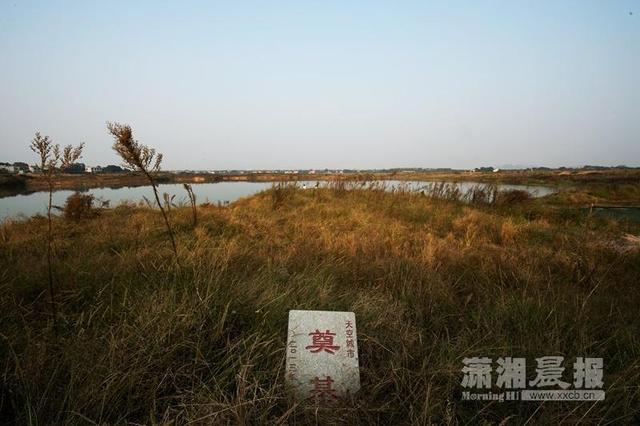 长沙“世界第一高楼”工程停摆2年 工地变渔场