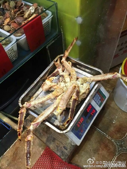 网友提供图片。 网友提供图片。