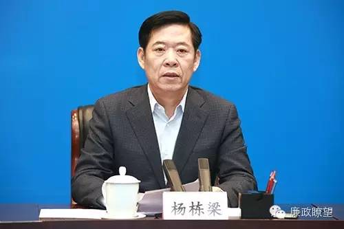 杨栋梁(资料图) 杨栋梁(资料图)