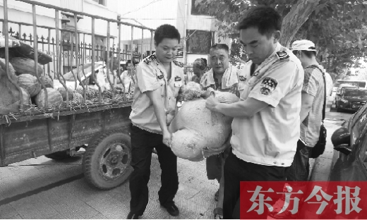 昨日，郑州金水区执法局的执法队员捐钱买瓜，替瓜农解忧