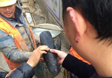 武汉地铁施工现场挖出疑似天价乌木