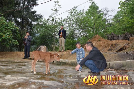 村里人知道后，前来看热闹