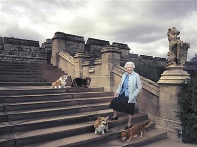 英国女王与她的爱犬。