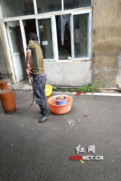 5月8日，男子在校园里杀狗，地上残留一块血迹。目击者供图。
