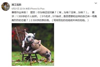 岳馨钰在自己的个人微博上布置暑假作业。微博截图
