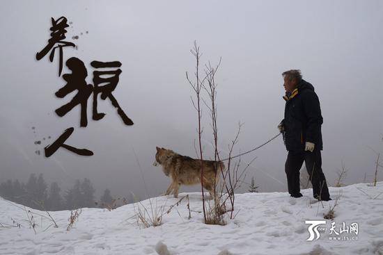 7旬老人养150匹野狼 伙食费1年花近百万