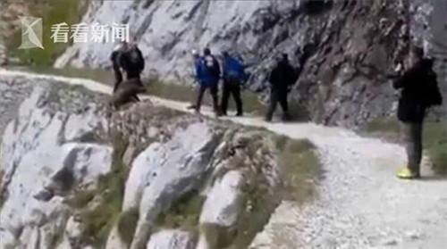 8名游客将野猪逼下崖生死未卜 警方介入着手调查