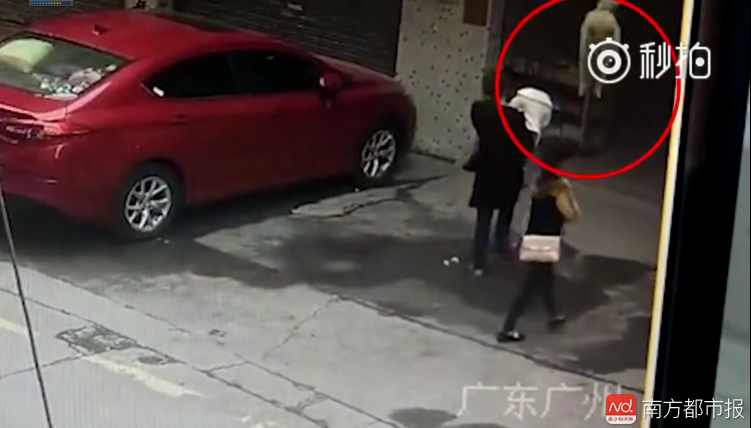 广州高空坠狗砸伤女子 警方：暂未认定为刑事案件