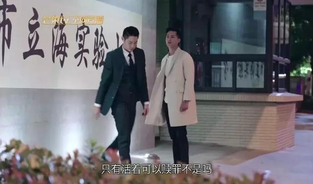 事隔十年,张柏芝复出新剧成狗血大集合,网友:新版回家的诱惑?