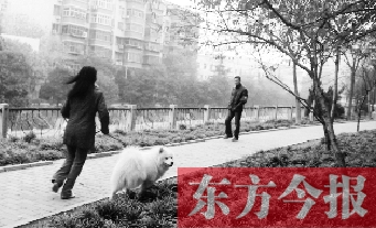 12月3日，郑州市南关街熊儿河旁，一名遛狗的女子见到执法人员检查，迅速跑开