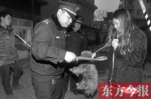 12月3日早上6点半，郑州市南关街熊儿河旁，南关街办事处的执法人员对狗进行排查