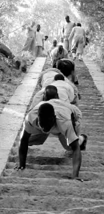 最苦就是四肢着地从山上往下爬台阶，洋弟子感叹：少林寺后山的台阶太多了