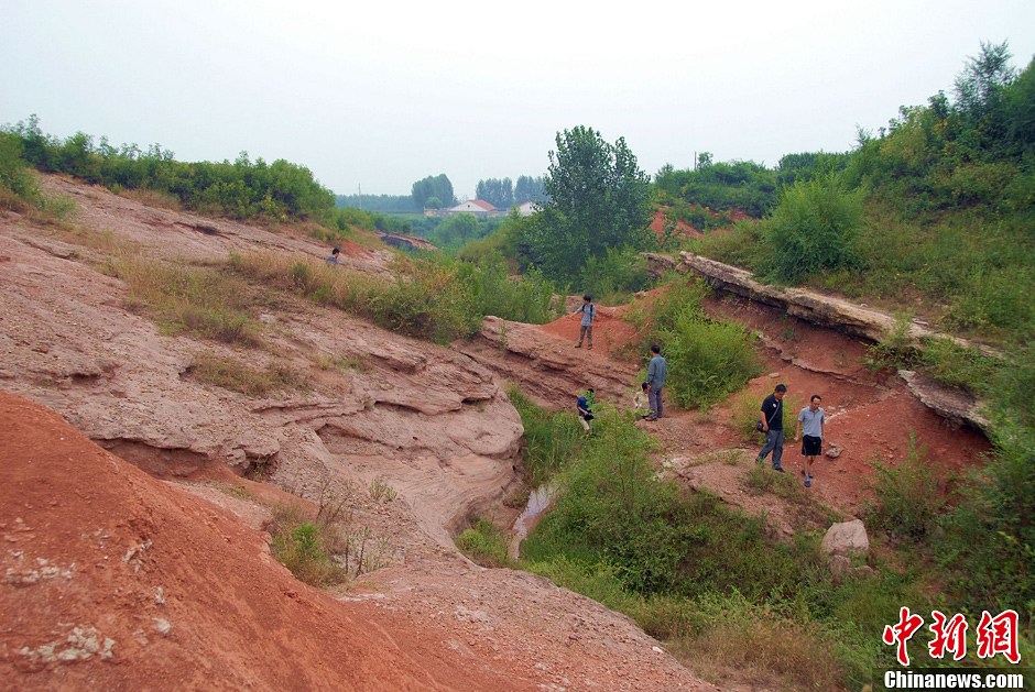 科考人员在平原恐龙峡谷考察。