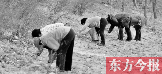 春游踏青 高校成“后花园”