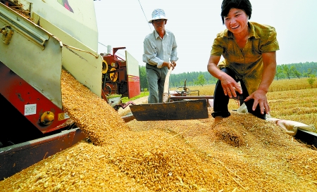 6月3日， 濮阳开发区胡村乡后范庄村的续秀萍看着新打的粒大饱满的小麦喜上眉梢。