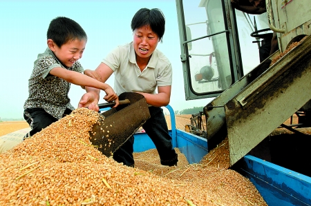5月27日，确山县刘店镇前槽村郭景莲和小孙子一起收获小麦，丰收的喜悦写在了脸上。