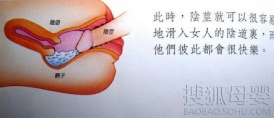 组图：让人脸红的国外性教育图片