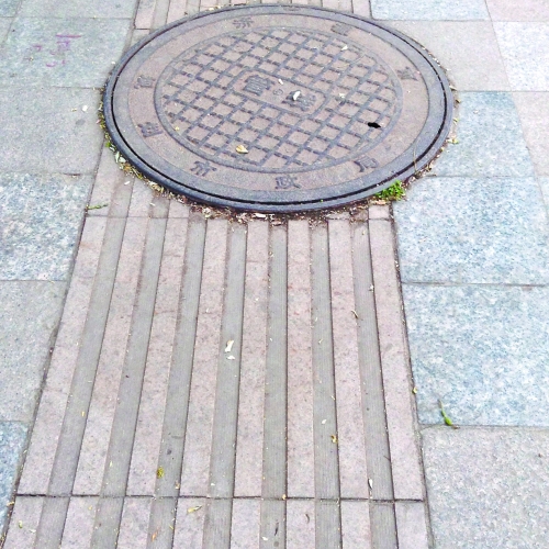 济源部分盲道难帮"盲" 遭杂草覆盖窨井盖强占