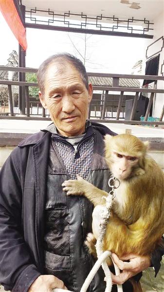 杨林贵怀里的这只猴，就是《大闹天竺》里的“猴演员”