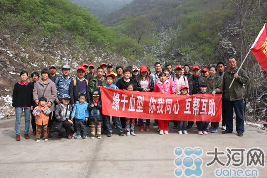 许昌组建稀有血型QQ群 320人加入免费捐献熊猫血