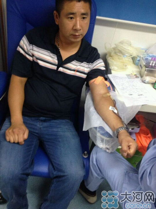 许昌组建稀有血型QQ群 320人加入免费捐献熊猫血
