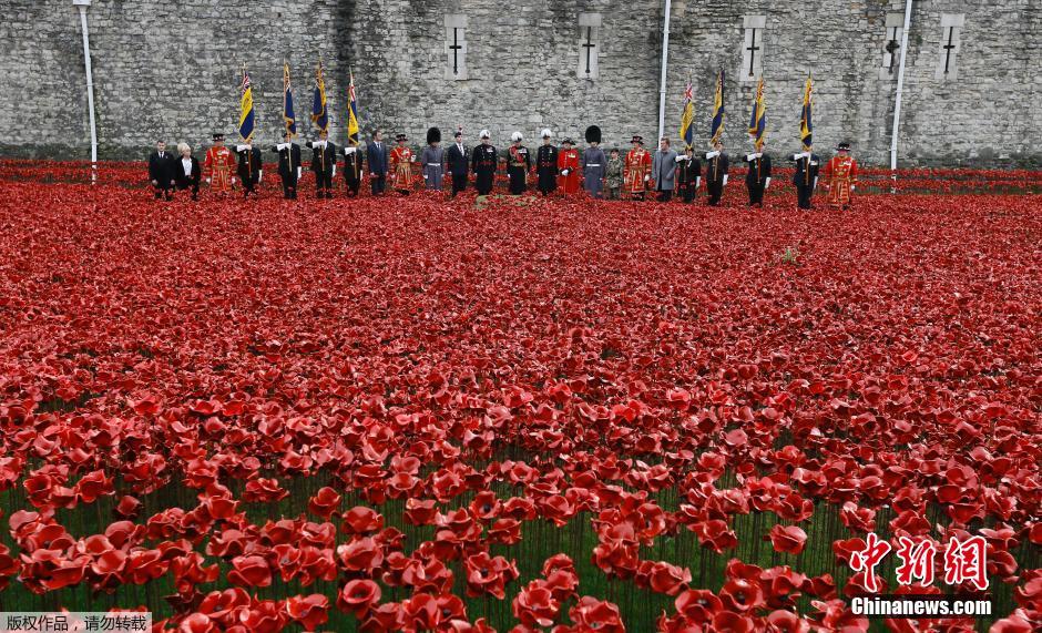 伦敦塔罂粟花纪念一战阵亡士兵