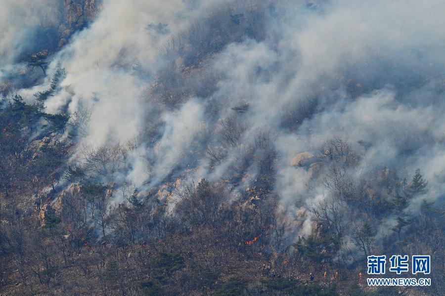 3月22日拍摄的辽宁省大连市大黑山山火现场