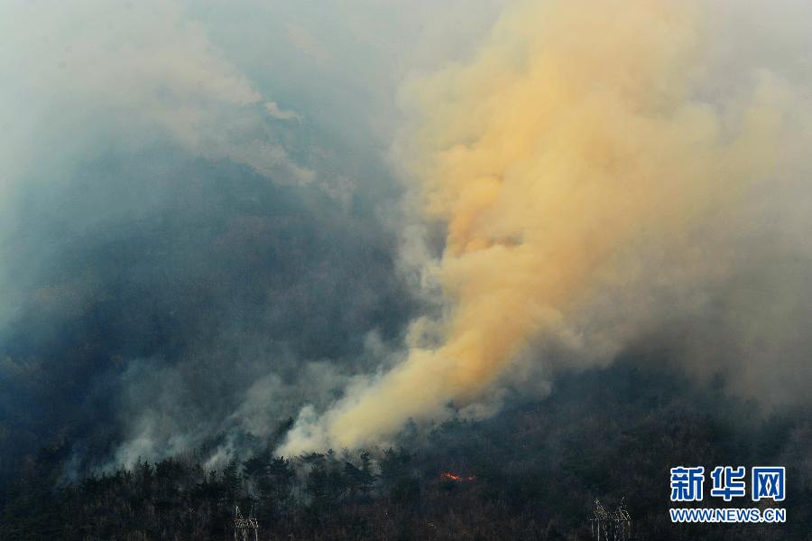 3月22日拍摄的辽宁省大连市大黑山山火现场。