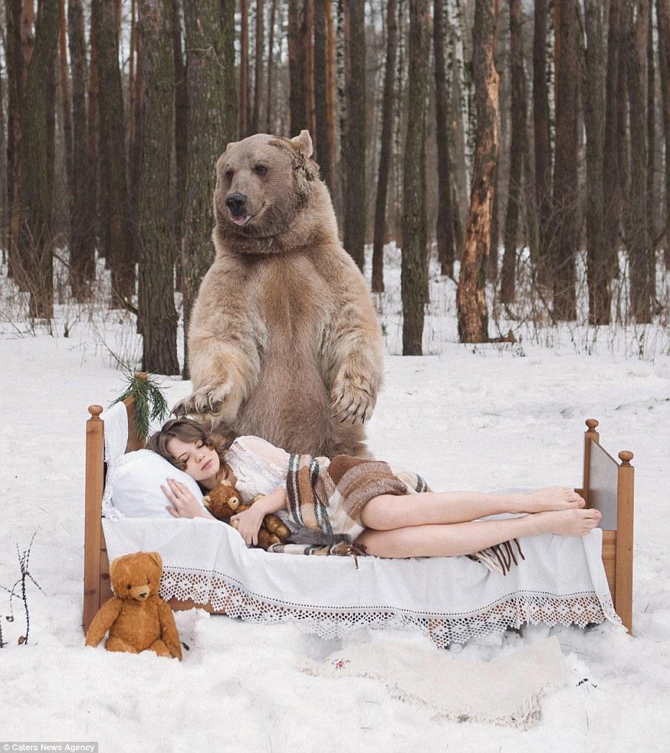 “明星”棕熊与性感女模摆拍 尽显绅士风度