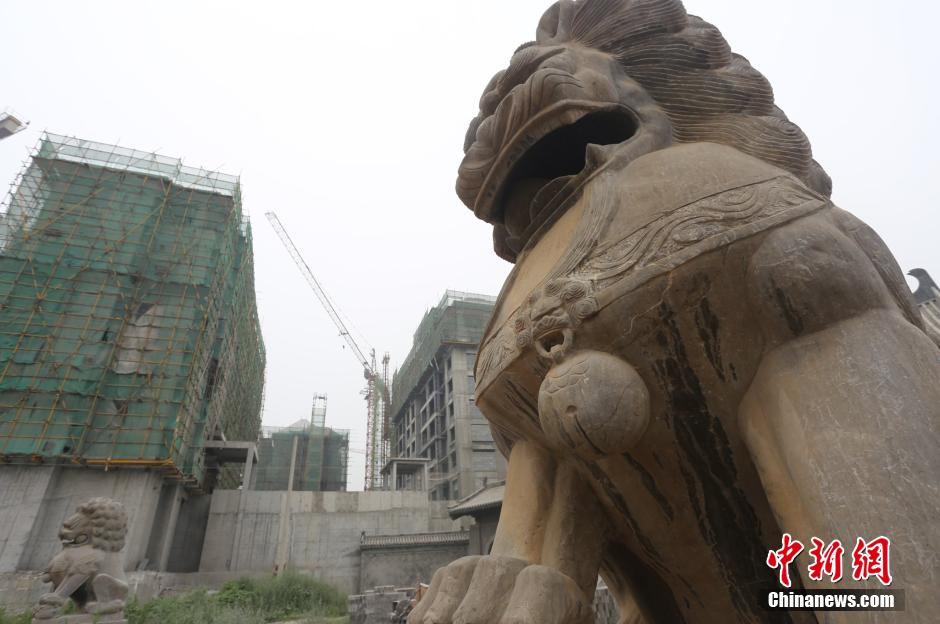郑州千年古寺被工地包围 清修之地不宁静