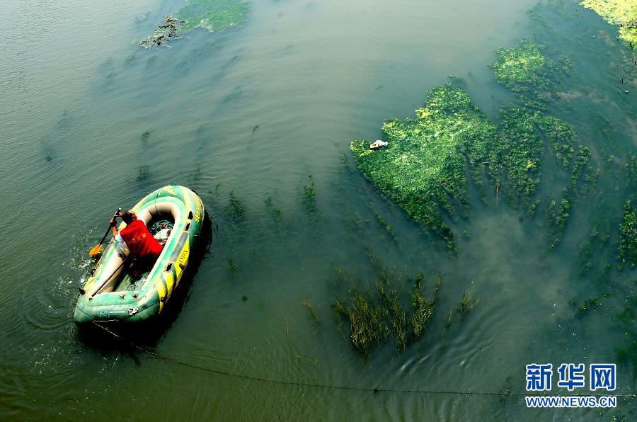 郑州西流湖生态水系遭破坏