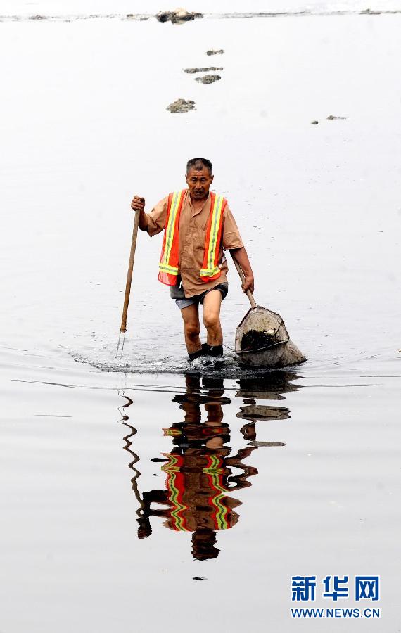 郑州西流湖生态水系遭破坏