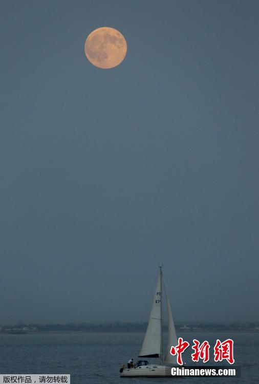葡萄牙首都里斯本，一轮超级月亮悬在塔古斯河上空，下方一艘帆船驶过。
