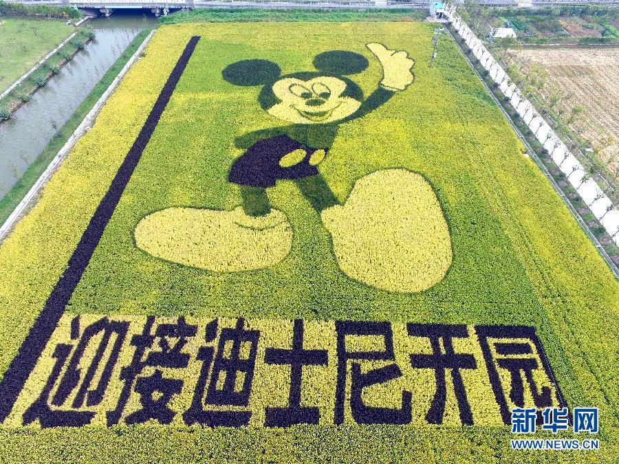 10月25日，游客在观景台上观赏“米老鼠”稻田画。