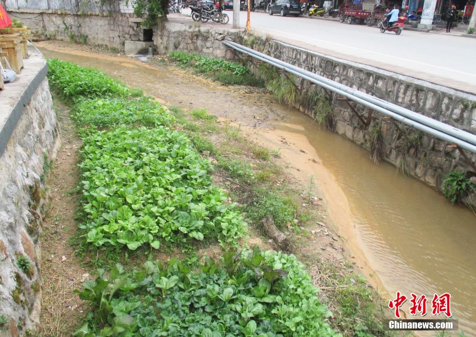 安庆市进入秋季以后，河水水位下降，河里的沙土露出水面，居民把长长的河道圏成一块块，栽种蔬菜。