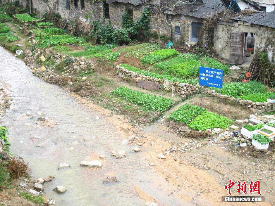 安庆市进入秋季以后，河水水位下降，河里的沙土露出水面，居民把长长的河道圏成一块块，栽种蔬菜。