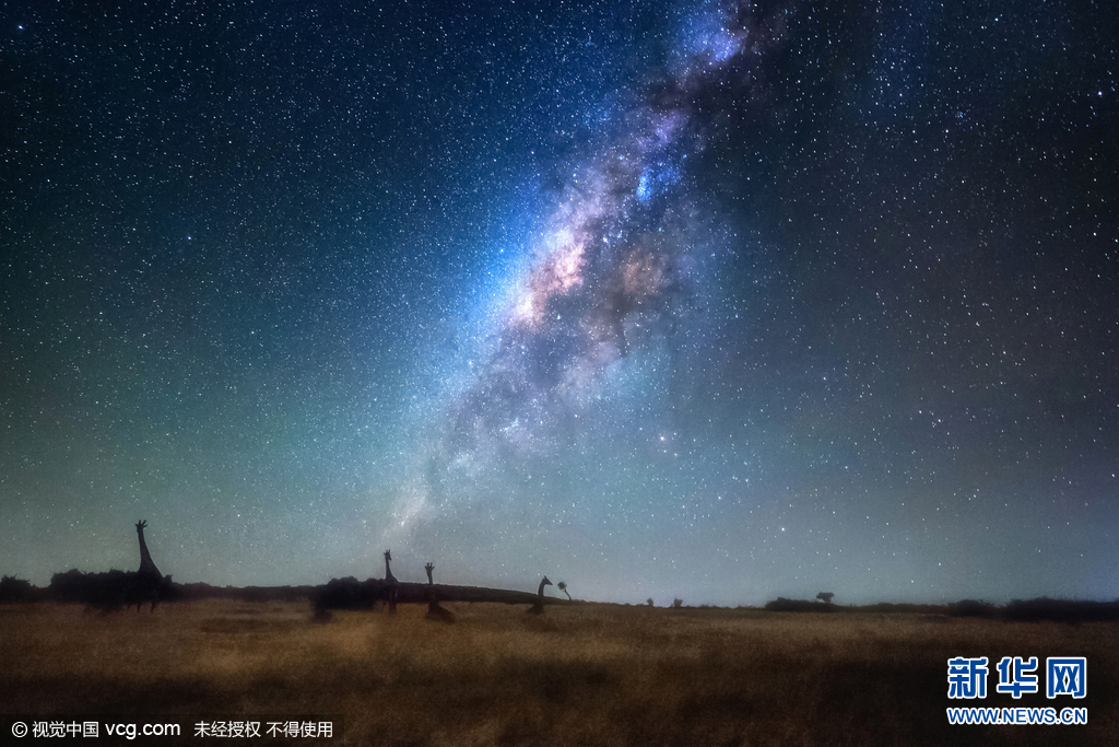 摄影师夜探非洲大草原 拍到长颈鹿浴星而行