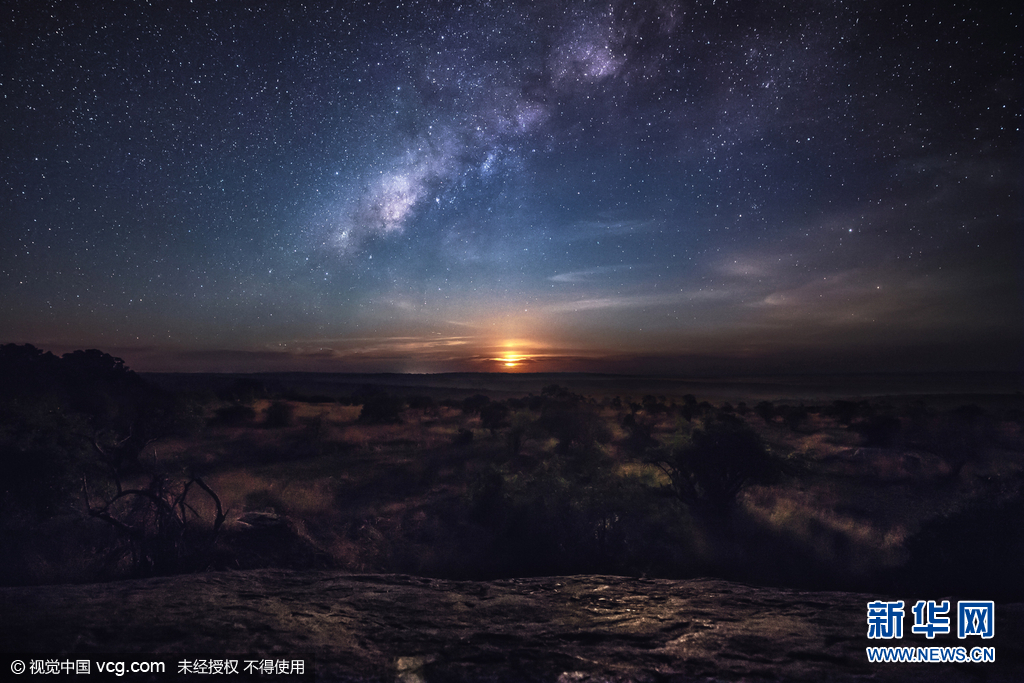 摄影师夜探非洲大草原 拍到长颈鹿浴星而行