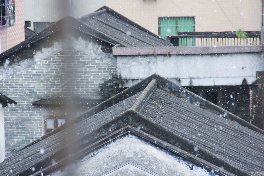 广州近百年来首次飘起鹅毛大雪