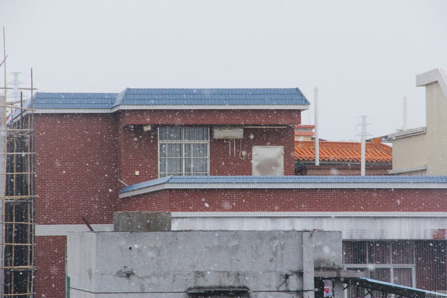 广州近百年来首次飘起鹅毛大雪