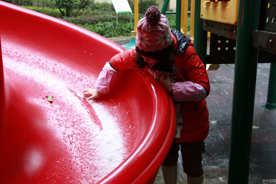 广州近百年来首次飘起鹅毛大雪