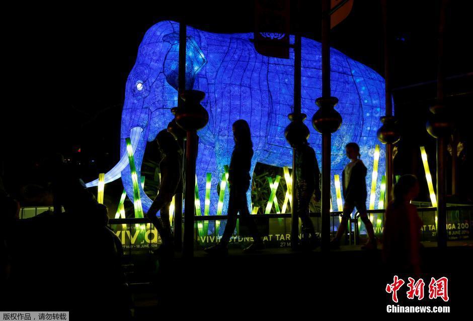 2016悉尼灯光节开幕 各式“动物风”灯饰亮相