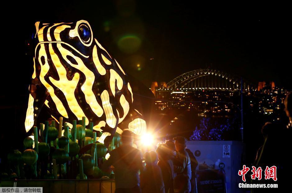 2016悉尼灯光节开幕 各式“动物风”灯饰亮相