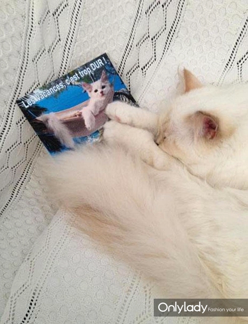 choupette-lagerfeld-a-aussi-ses-moments-de
